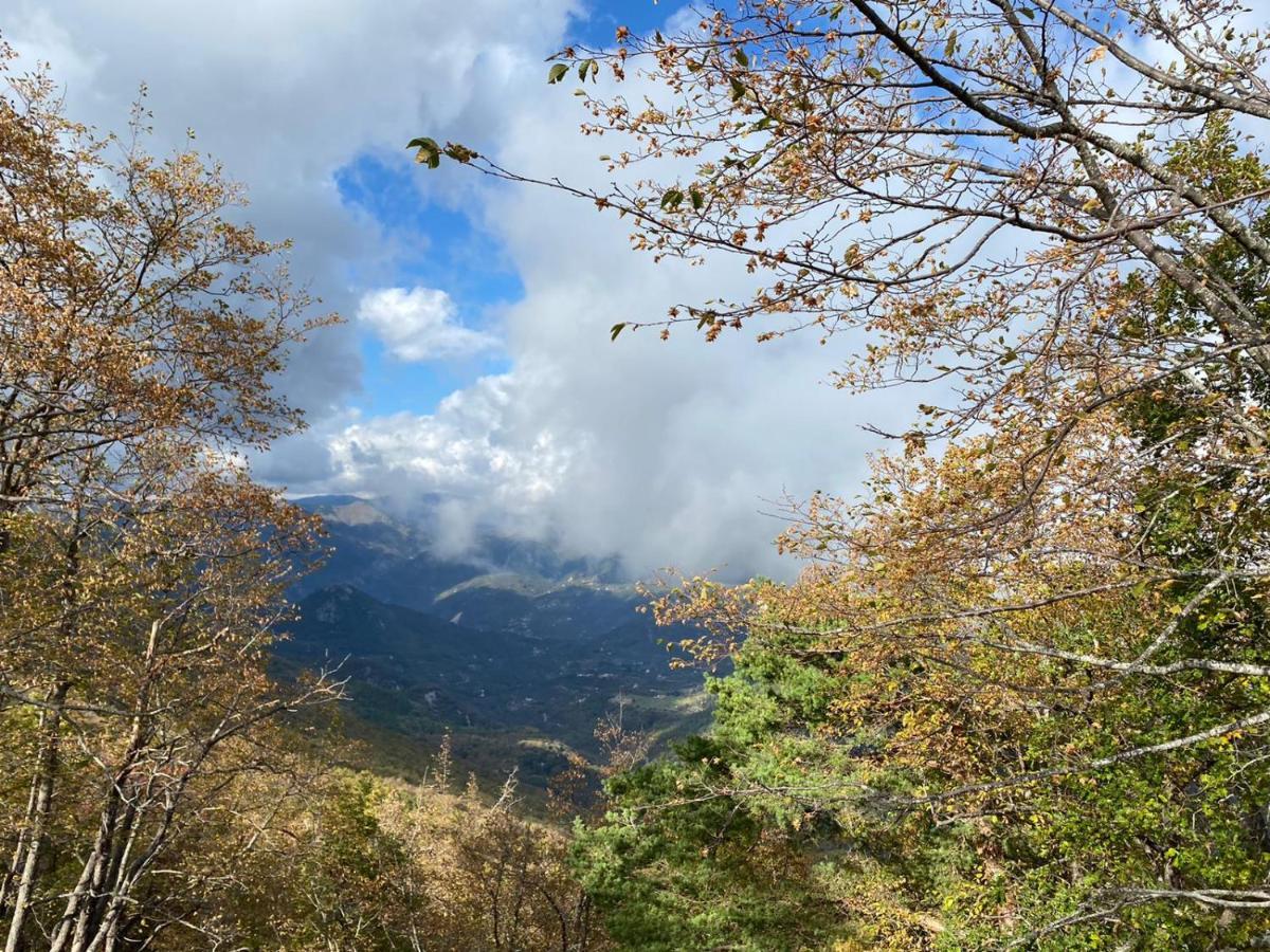 Agriturismo Vecchio Frantoio Villatella Екстер'єр фото