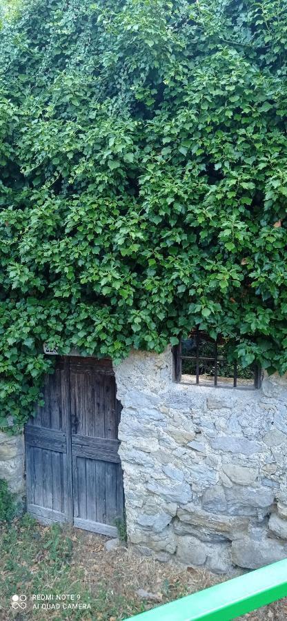 Agriturismo Vecchio Frantoio Villatella Екстер'єр фото