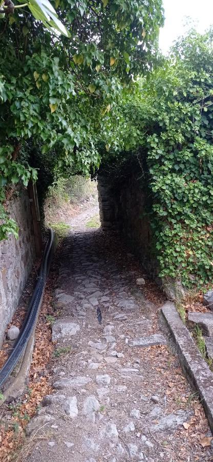 Agriturismo Vecchio Frantoio Villatella Екстер'єр фото