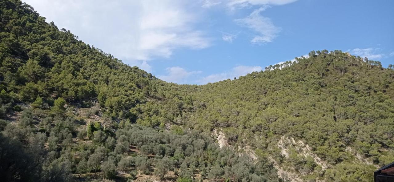 Agriturismo Vecchio Frantoio Villatella Екстер'єр фото